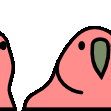 conga_parrot conga_parrot