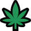 cannabis
